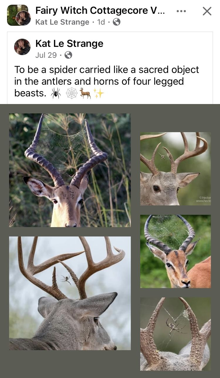 Pasted image 20260322115422.png