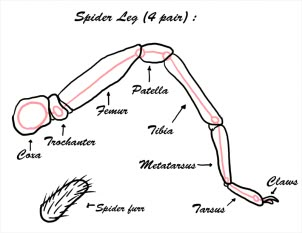 Pasted image 20260322120625.png
