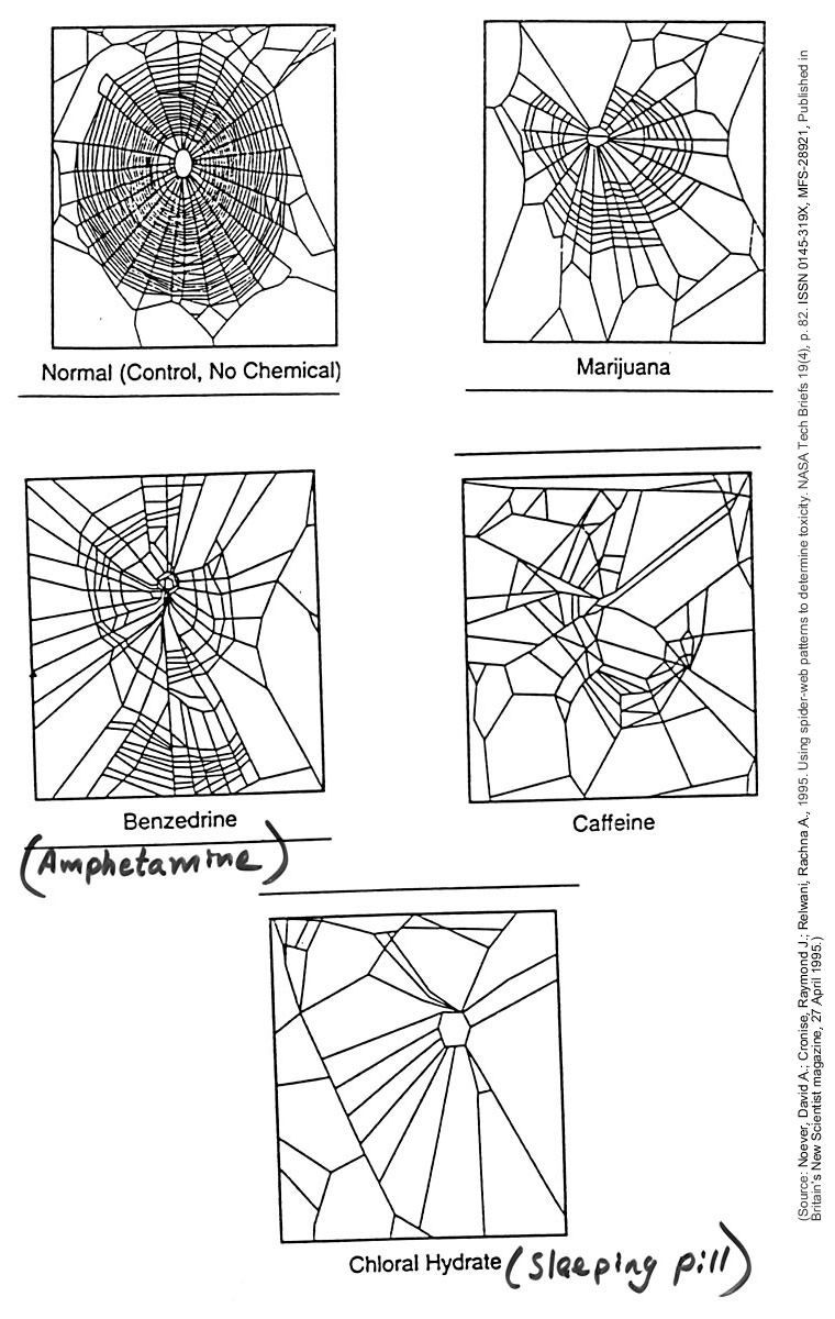 Pasted image 20260322121000.png